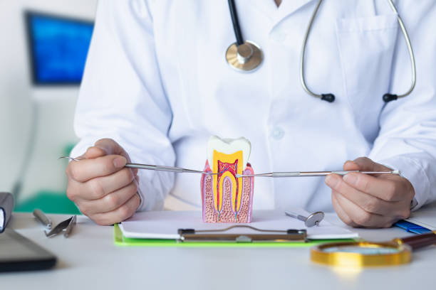 Best After-Hours Dental Trauma Care in Fulda, MN
